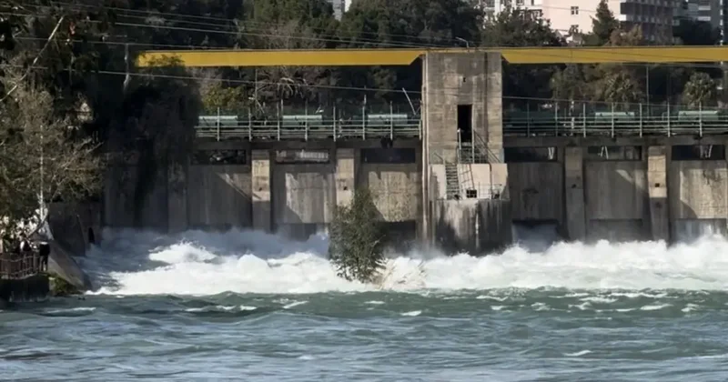 Seyhan Barajı ndan su tahliyesi sürüyor: Tarlalar su altında kaldı