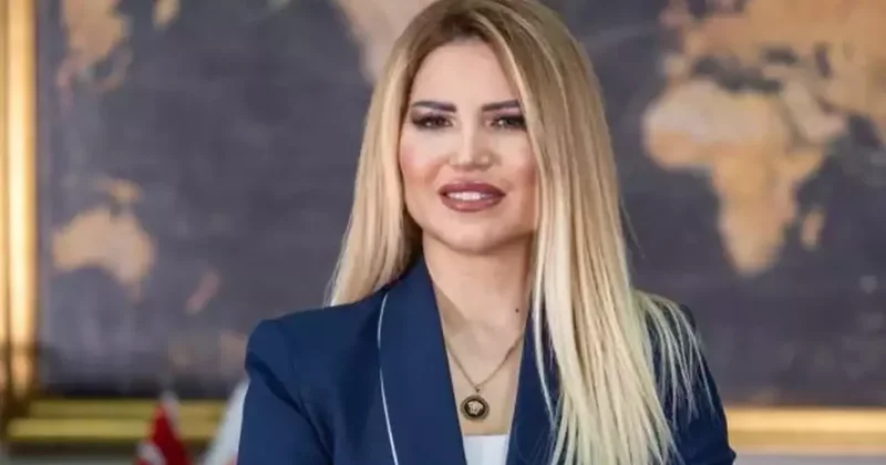 Yapıcı: Belli mesleklerde çok yığılma oldu, YÖK haklı