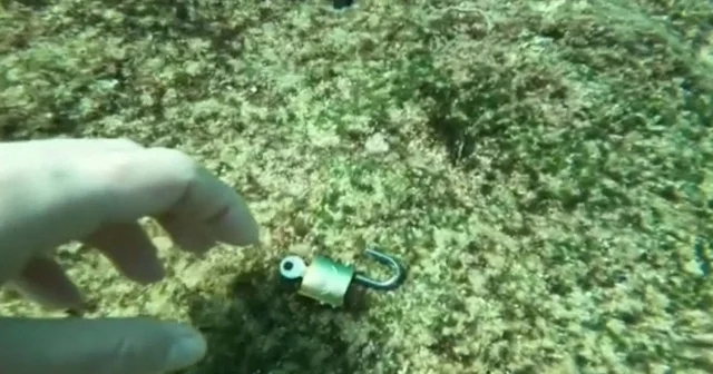 Denizden büyü malzemesi çıkarıyor Antalya Haberleri