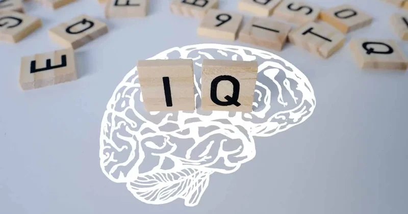 Dünyanın en kısa IQ testi: Sadece 3 soru, hatta Harvard öğrencileri bile başarısız oldu Sözcü Gazetesi