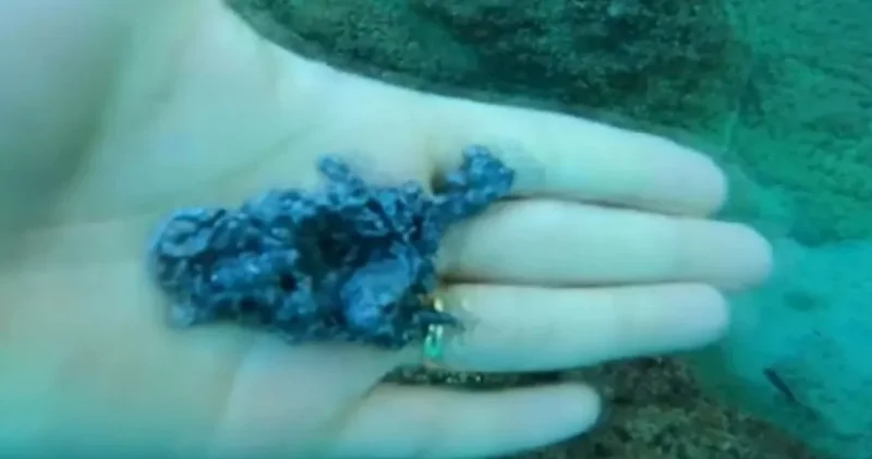 Dalgıç gördüklerine inanamadı: Antalya’da deniz dibi büyüyle dolu