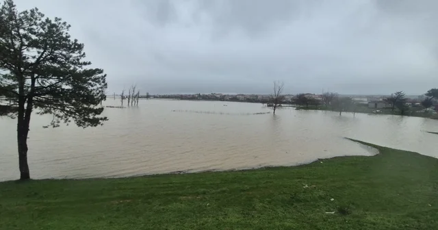 Meriç Nehri nden taşan sular yaşam alanlarına kadar ulaştı Edirne Haberleri