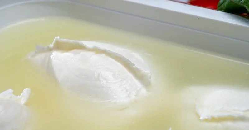 Ne keçi ne inek sütü: Hepsinden 10 kat daha faydalı Sözcü Gazetesi