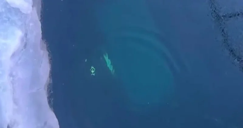 Baykal Gölü’nde faciası: 8 turist boğularak can verdi Sözcü Gazetesi