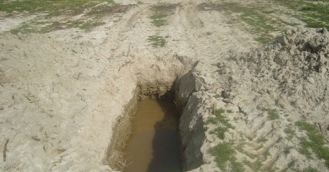 Yer altı suyunda yaklaşık 120 santimetre yükselme tespit ettik İzmir Haberleri