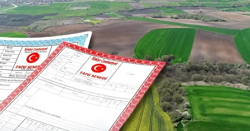 Ortak tapuda satış yapanlar dikkat! Yargıtay dan kritik karar çıktı