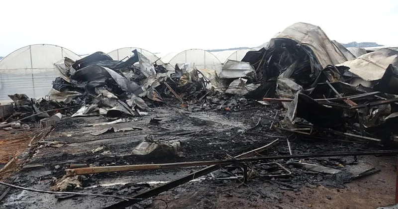 SON DAKİKA... Antalya daki konteyner yangınında 7 aylık hamile anne ile 5 evladı ölmüştü: Faciada çarpıcı gelişme