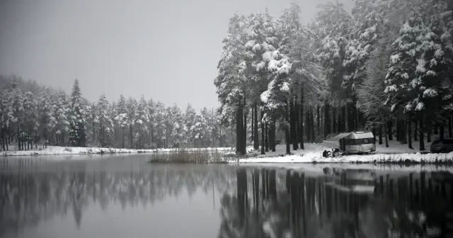 Düzce deki Topuk Yaylası karla kaplandı: Kış manzarası mest etti VİDEO İZLE