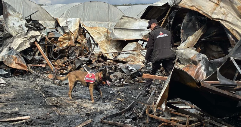 Antalya da 5 i çocuk 6 kişinin öldüğü faciada mangal detayı! Son dakika haberleri