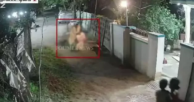 Hindistan da köpek saldırısı dehşeti kameralara yansıdı