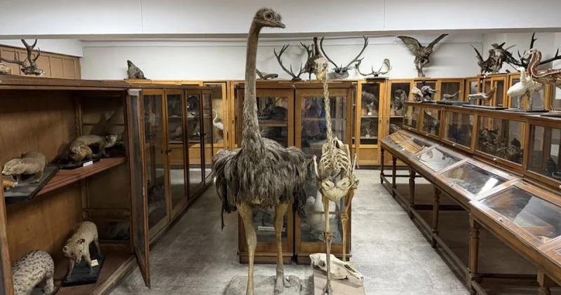 2 nci Dünya Savaşı döneminde genişledi! Müzede korunuyor