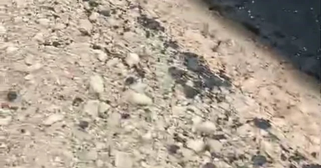 Kurtalan da yeni yapılan yolun tehlike oluşturduğu iddiası Siirt Haberleri