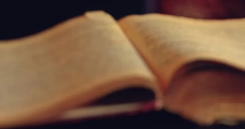 Gündem olan kitabın yapay zekayla yazıldığı ortaya çıktı Sözcü Gazetesi