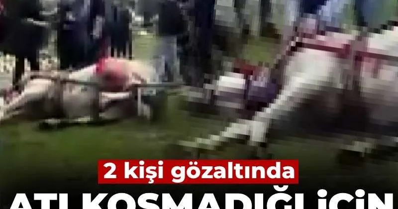 Koşmadığı gerekçesiyle atı bayıltana kadar dövdüler!