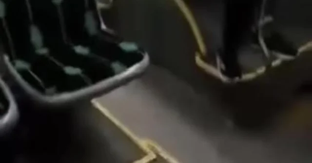 Halk otobüsündeki uygunsuz davranış kamerada Kocaeli Haberleri