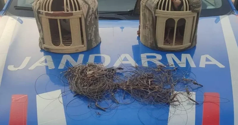 Kırşehir’de kaçak keklik avcıları yakalandı