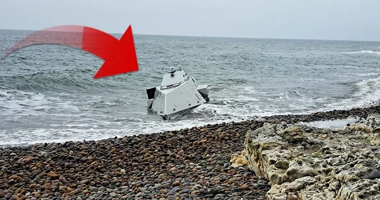 Ordu da kıyıya vurdu, ekipler alarma geçti: Açığa çekilip İmha edilecek