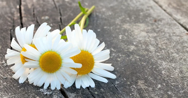 Kaygıyı azaltmak için kullanılan 333 kuralı nedir?