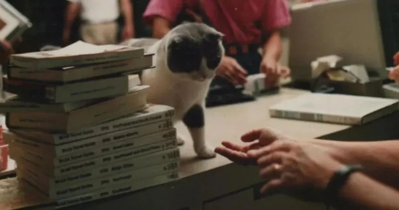 200 yıl önce kurulmuştu: İflas bayrağını çekti