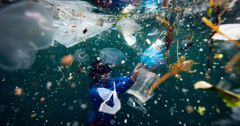 Deniz kirliliğiyle mücadele: 325 bin ton atık temizlendi