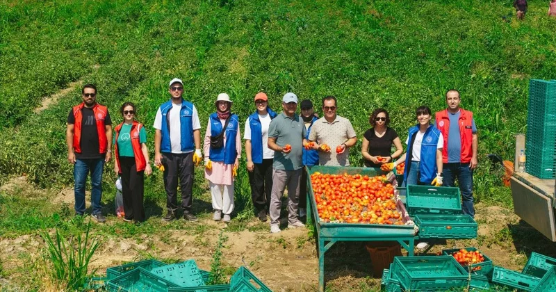 Gençlerden tarımsal üretime destek: Gönüllü Hasat Etkinliği takvimi belli oldu