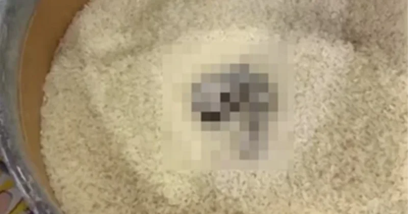 Markette mide bulandıran görüntü: Açık satılan pirinçte kedi dışkısı Mersin Haberleri