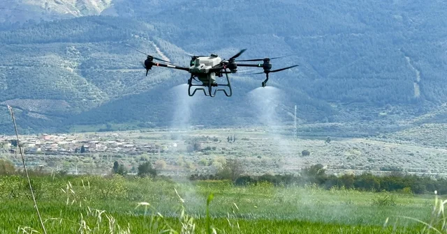 Aydın Büyükşehir tarıma destek oluyor Tarlalar drone ile ücretsiz gübreleniyor Aydın Haberleri
