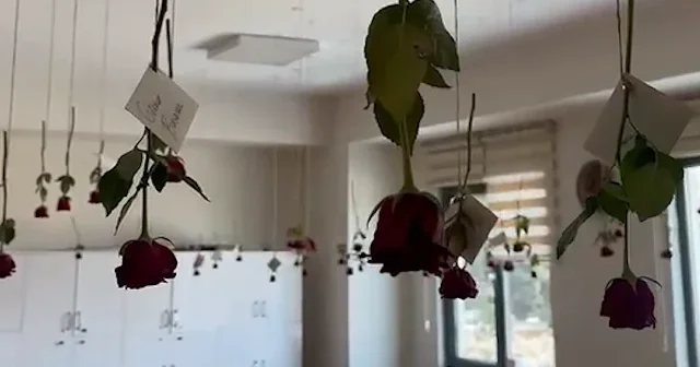 Öğrenciler öğretmenler odasını gül bahçesine çevirdi VİDEO İZLE