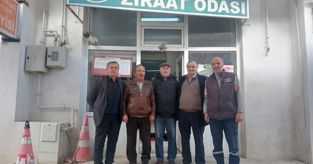 Tütün Pazaryeri nin geçim kapısı oluyor Bilecik Haberleri