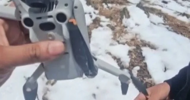 Kartal droneyi havada kaptı, zirvede bıraktı Erzincan Haberleri