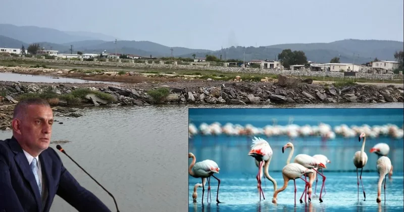 Kuşların yerine villalar konacak Sözcü Gazetesi