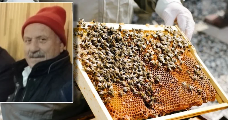 Kovanların bakımını yaparken boğazından arı soktu: Kaldırıldığı hastanede yaşamını yitirdi