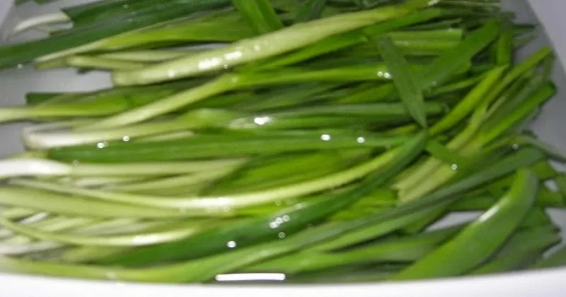 Köylüler tek tek elleriyle hasat ediyor: Şeflerin mucize gözdesi Sözcü Gazetesi