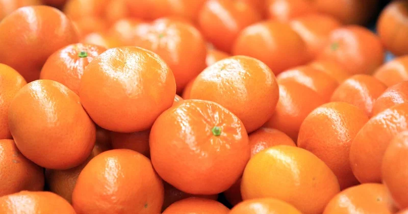 Turunçgil ihracatı 697,7 milyon dolara ulaştı