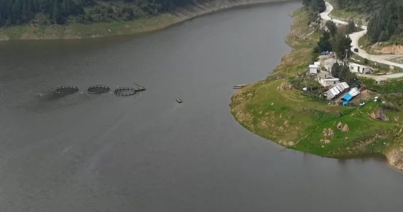 Koyunlar otluyordu, meraya dönmüştü: Demirtaş Barajı tamamen doldu