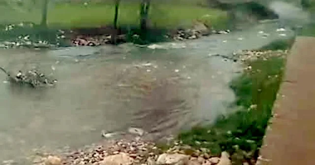 Araban da Ardıl Çayı yıllar sonra yeniden aktı Gaziantep Haberleri