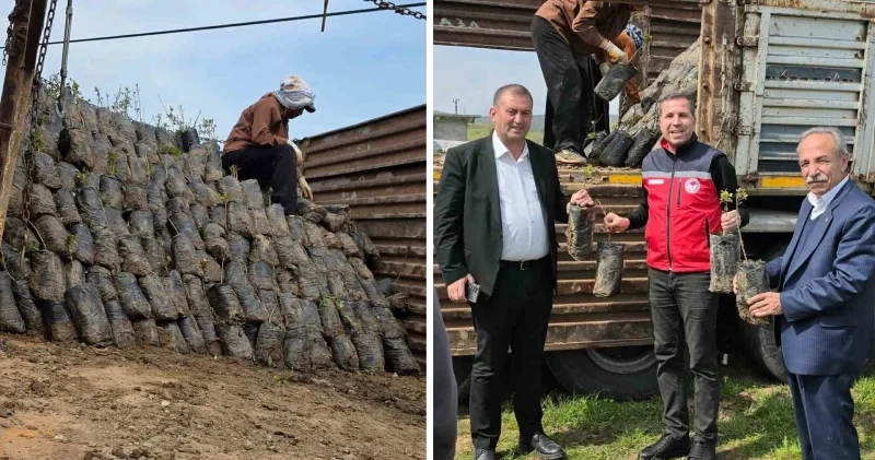 Dicle’de çiftçilere yüzde 100 hibeli bin 176 adet fıstık çöğürü dağıtıldı Diyarbakır Haberleri