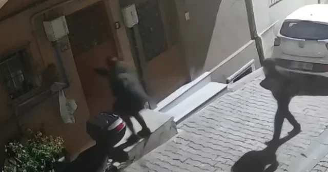 Bina girişinde taciz skandalı: Genç kadın çığlıklarıyla mahalleliyi sokağa döktü VİDEO İZLE