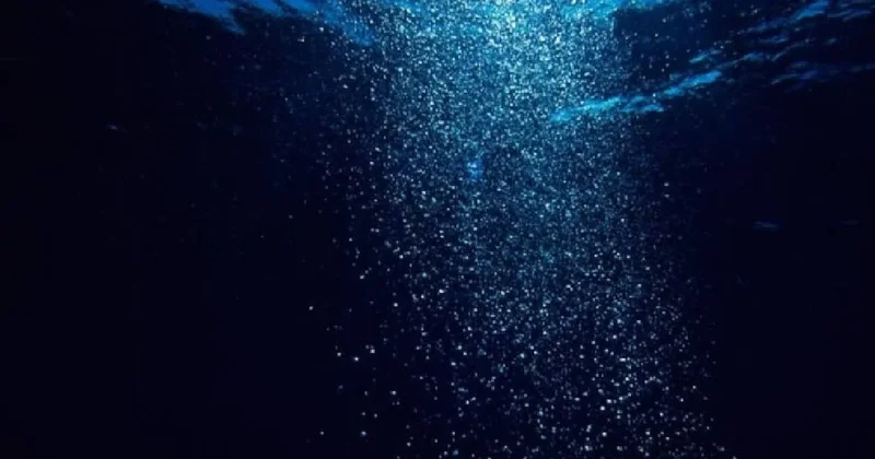 Hiçbir bilim insanının açıklayamadığı yaratıklar bulundu Sözcü Gazetesi