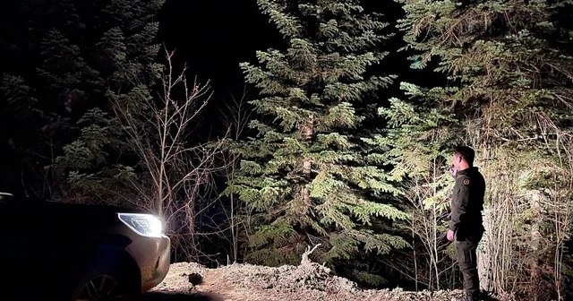 Sinop ormanları 7/24 koruma altında Sinop Haberleri