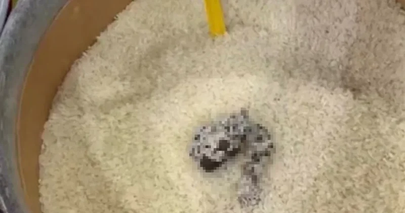 O markete ceza kesildi: Mersin de mide bulandıran skandal görüntüler!