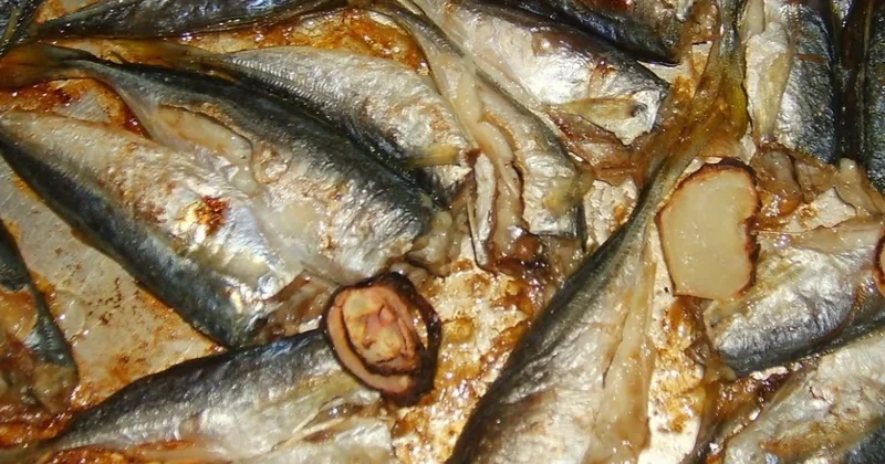 Bayıla bayıla yediğimiz balık yok oluyor Sözcü Gazetesi