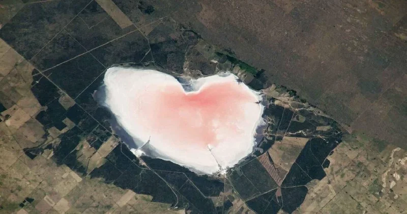 Pembe kalp gölün sırrı çözüldü: Görüldüğü gibi masum değil Sözcü Gazetesi