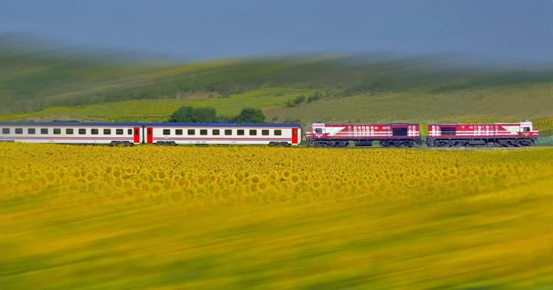 TCDD otla mücadele kapsamında tren yollarında ilaçlama yapacak