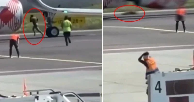 Havalimanında dehşet! Uçağın motoruna koşan adam feci şekilde can verdi