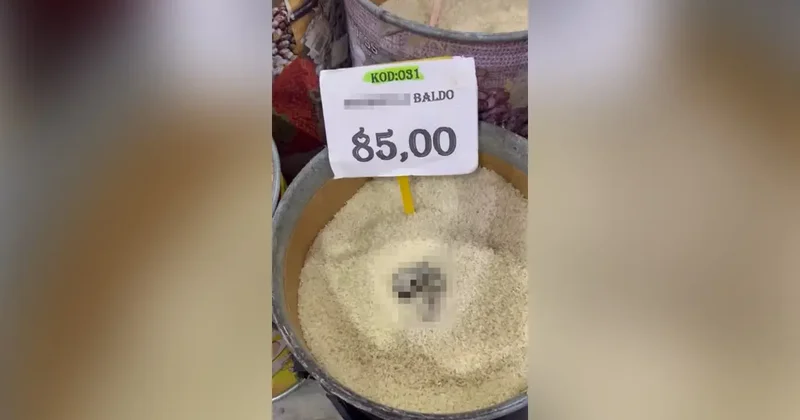 Markette satılan pirinçte kedi dışkısı! Görüntüler gündem oldu