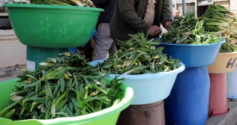 Dağlar ve yaylalarda doğal olarak yetişiyor! Şifalı otların kilosu 100 TL den satılıyor