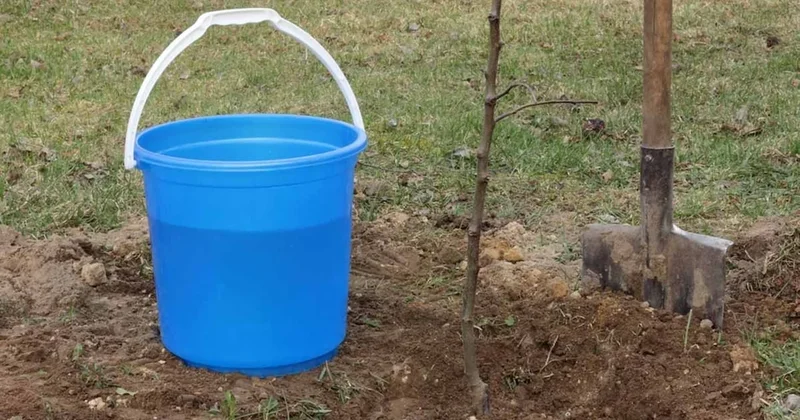 Bahçeye kova koyanın kapısına polis dayanıyor Sözcü Gazetesi