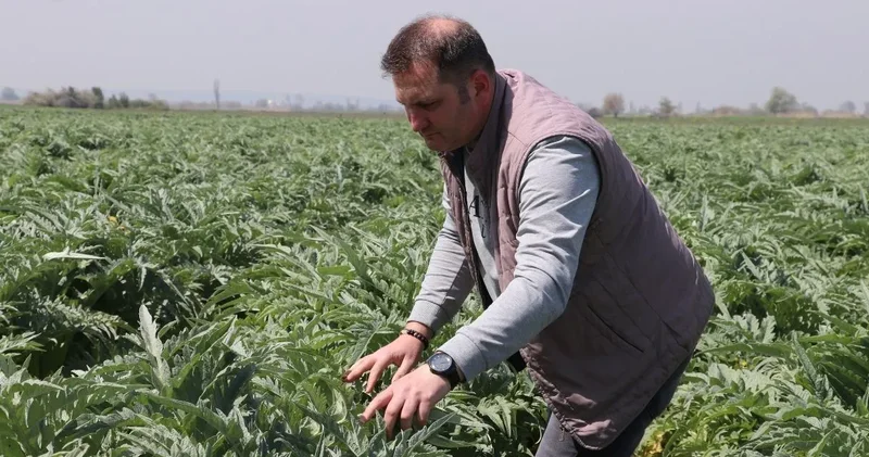 40 dönümle başladı, 165 dönüme ulaştı: Tüm Türkiye ye ve yurt dışına da satıyor