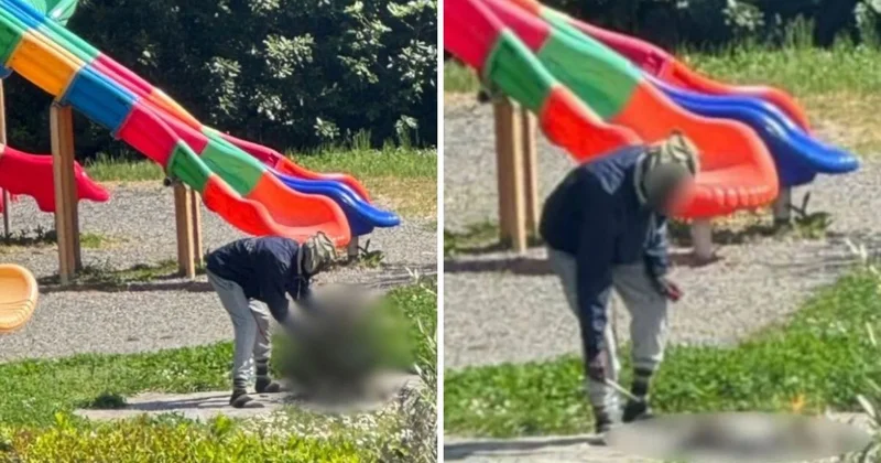 Çocuk parkında akılalmaz görüntü: Herkesin gözü önünde öldürdüğü kediyi pişirmeye çalıştı!